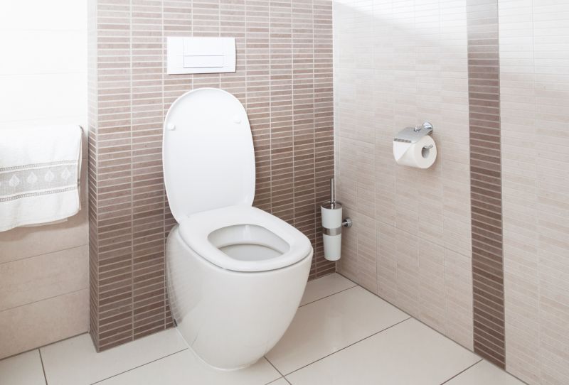 Broken Toilet Repair in Denver, CO